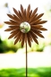 Preview: - Kopie