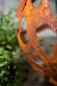 Preview: - Kopie