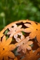 Preview: - Kopie
