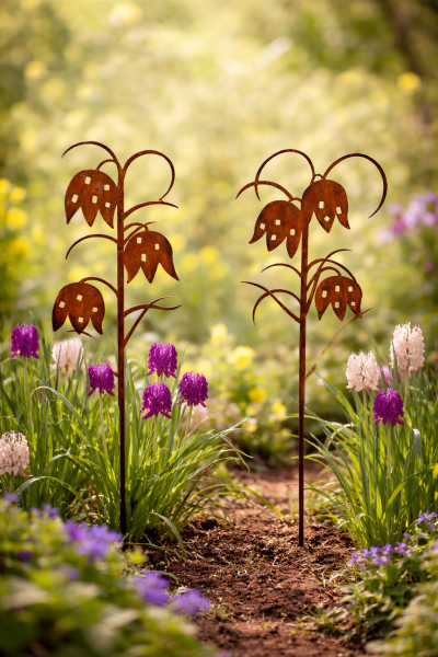 2er Set Schachbrettblume