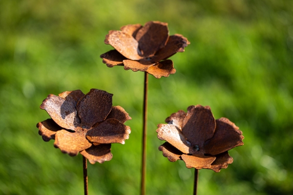 3er Set Gartenstecker Mohn Mohnblüte